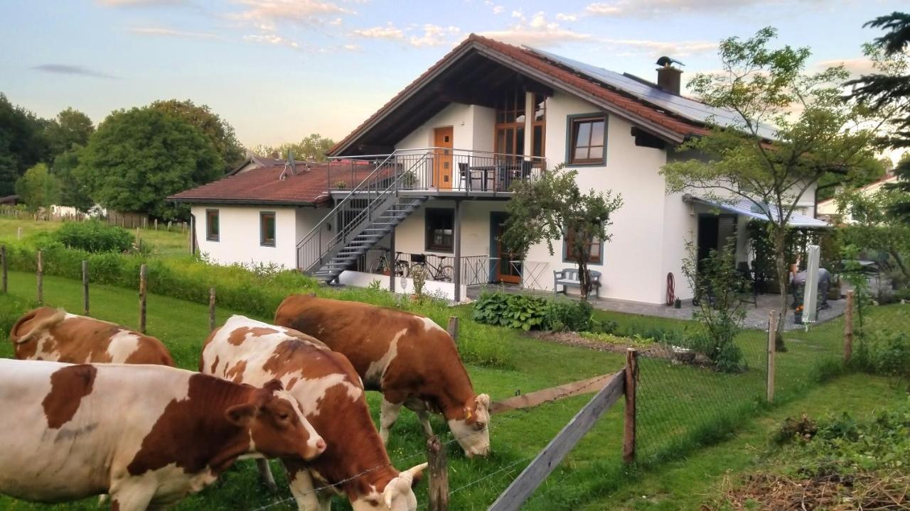 Exclusiv - Ferienwohnung Hinterreiter Ainring Exteriér fotografie